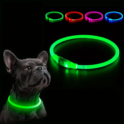 USB Rechargeable LED Dog Collar with Luminous Anti-Lost Feature