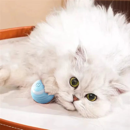 Interactive Electric Cat Ball Toy - Automatic Rolling Training Device for Kittens
