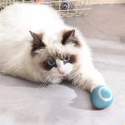 Interactive Electric Cat Ball Toy - Automatic Rolling Training Device for Kittens
