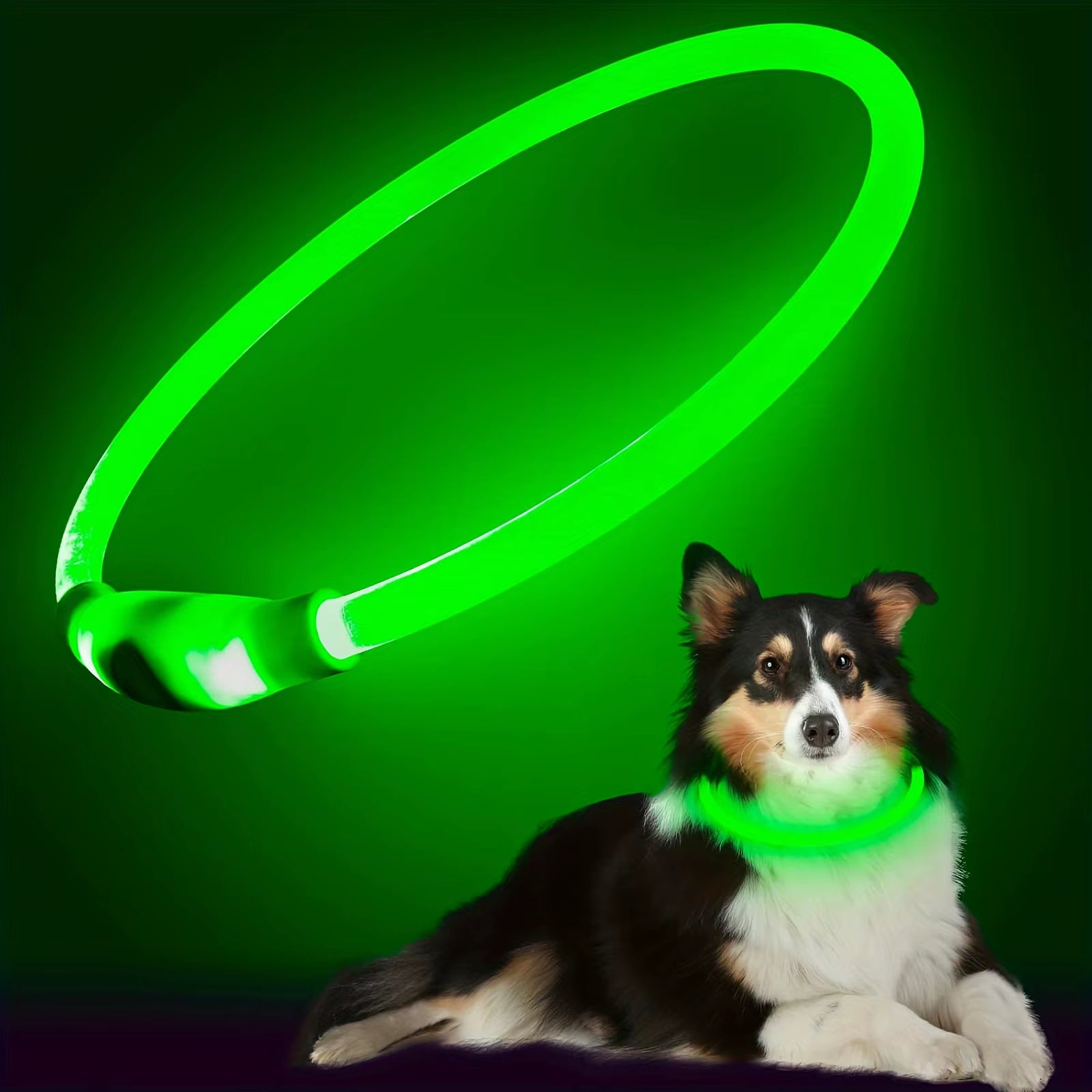 USB Rechargeable LED Dog Collar with Luminous Anti-Lost Feature