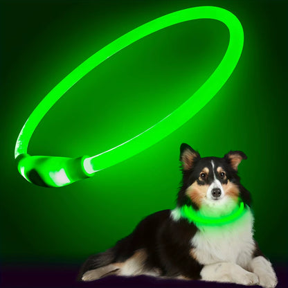 USB Rechargeable LED Dog Collar with Luminous Anti-Lost Feature